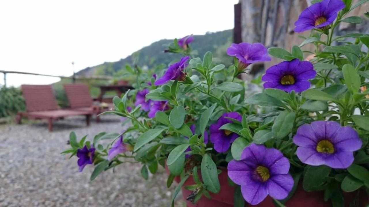 Agriturismo Al Pagan Пинья Экстерьер фото